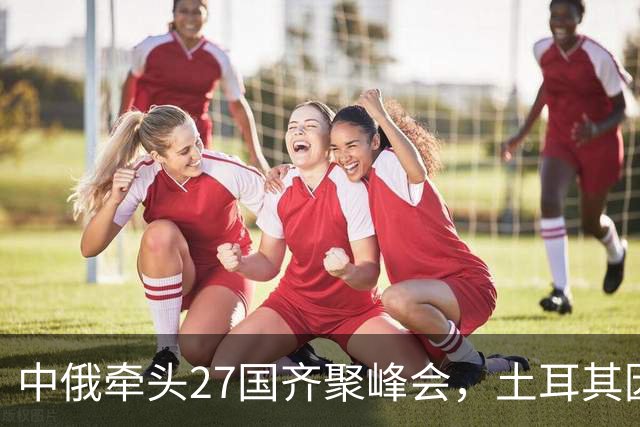 中俄牵头27国齐聚峰会，土耳其因素与伊朗寻求帮助显现